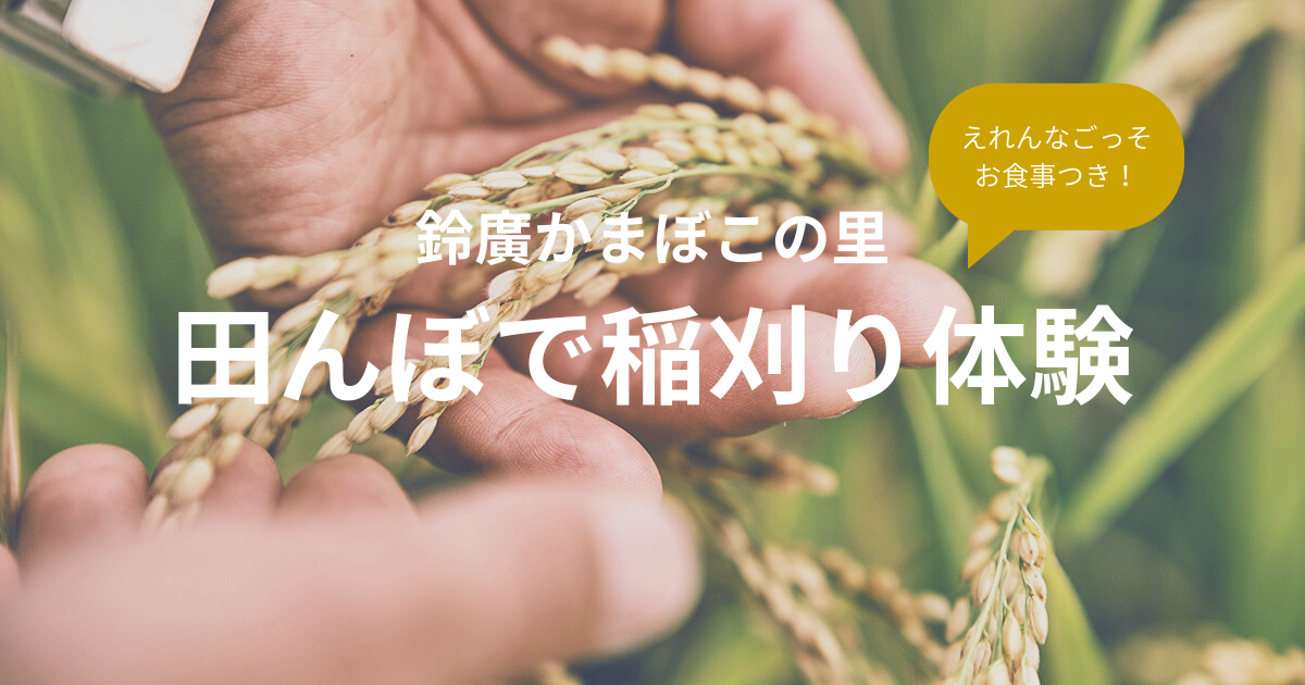 【募集終了】農薬も化学肥料も使用しない田んぼで稲刈り体験 10月25日開催