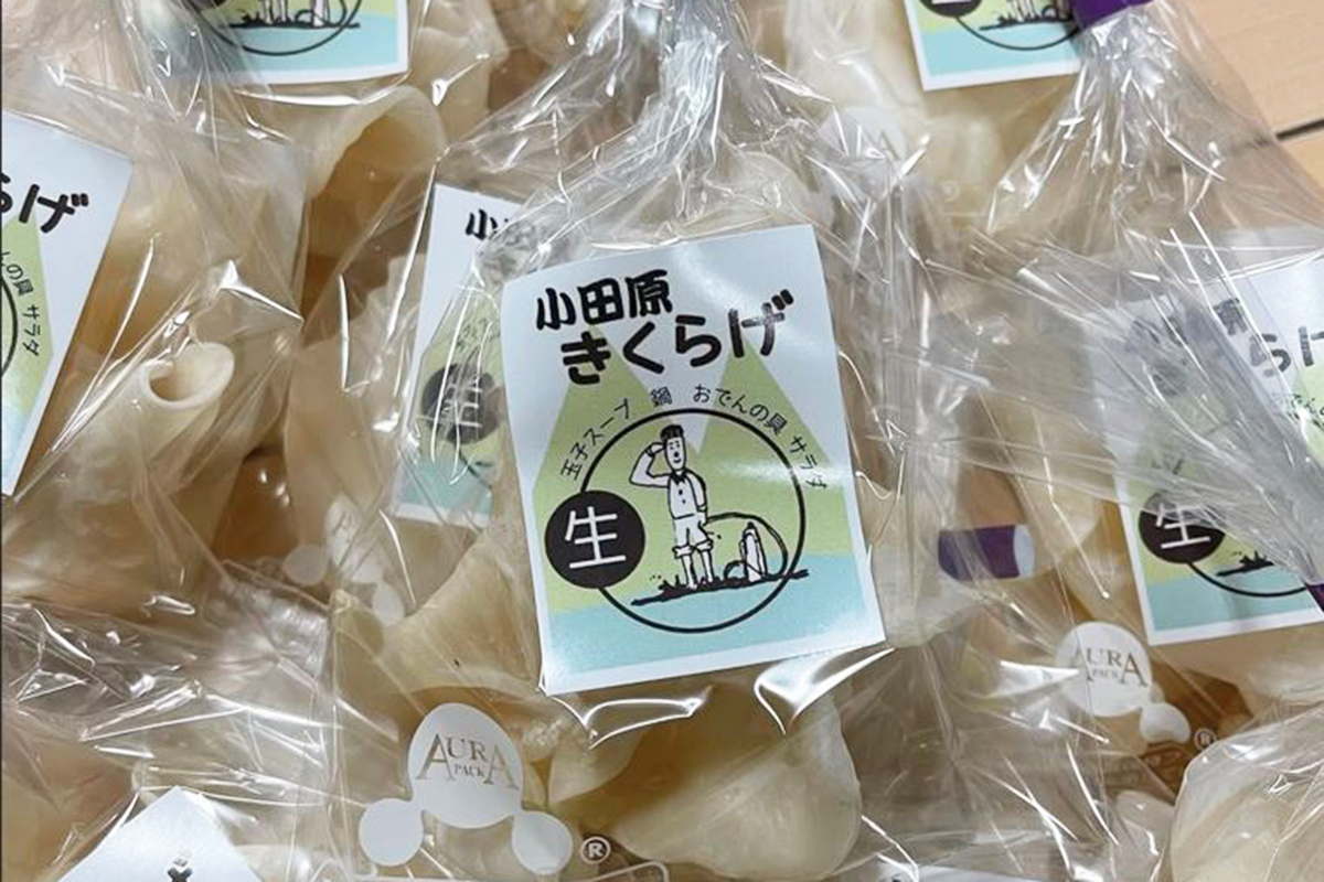 神田農園きくらげ